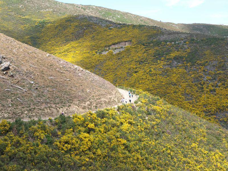 Momentos dos Novos Trilhos da Natureza - Do Colcurinho à Peneda da Sombra