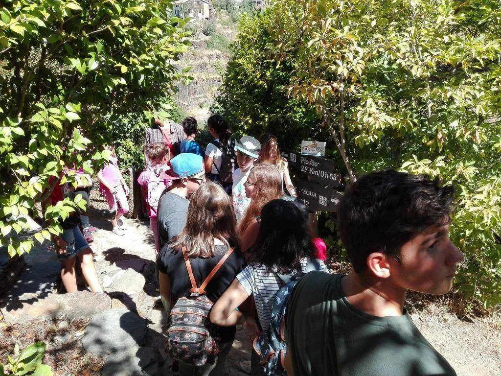 dia internacional da juventude 2017 3