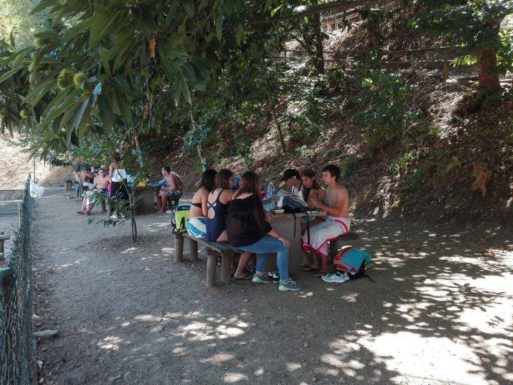 dia internacional da juventude 2017 38