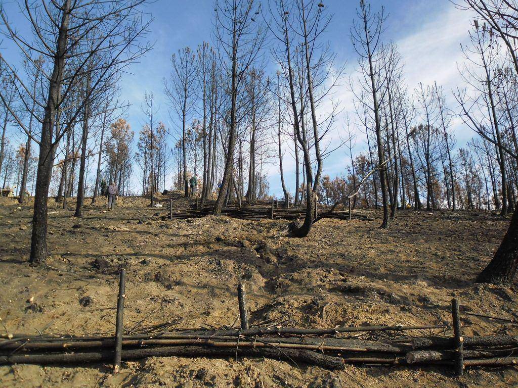 Trabalhos de Estabilização de Emergência Após Incêndio na Bacia do Caratão