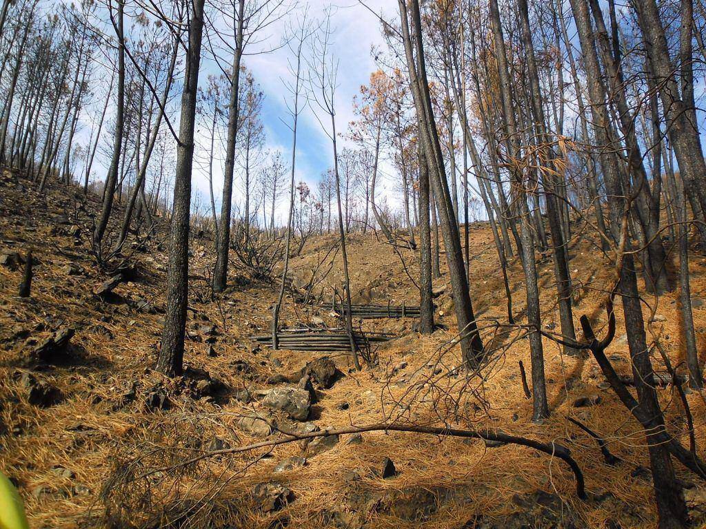 Trabalhos de Estabilização de Emergência Após Incêndio na Bacia do Caratão