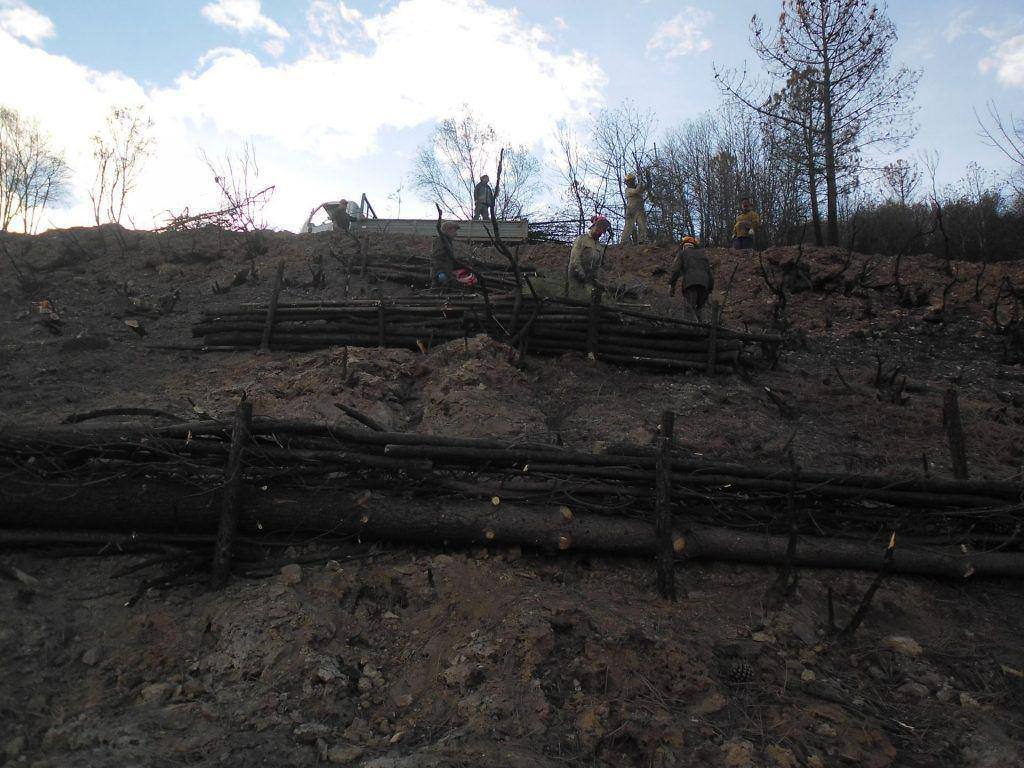Trabalhos de Estabilização de Emergência Após Incêndio na Bacia do Caratão
