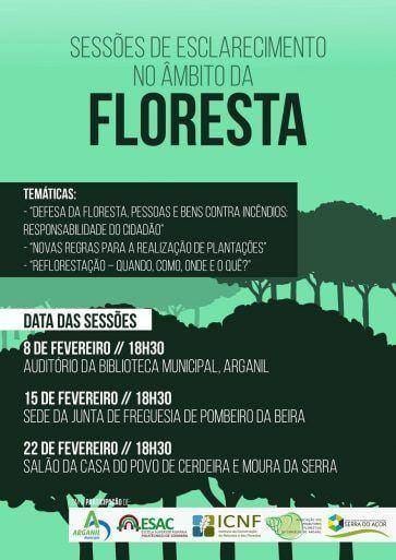 Sessoes de esclarecimento no ambito da floresta 02