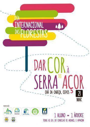 dia-internacional-das-florestas