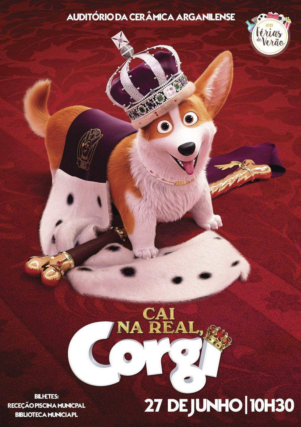 Cai na Real, Corgi - Município de Arganil