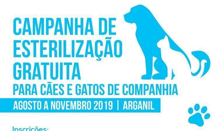 Município de Arganil promove campanha de esterilização gratuita de animais de companhia