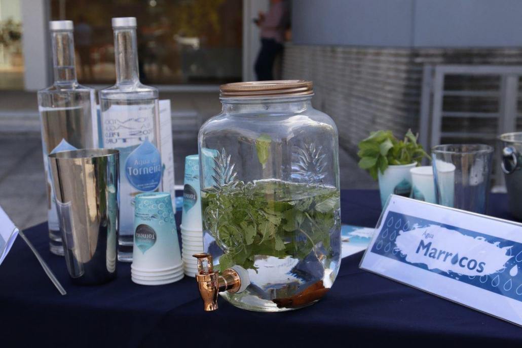 Dia Nacional da Água