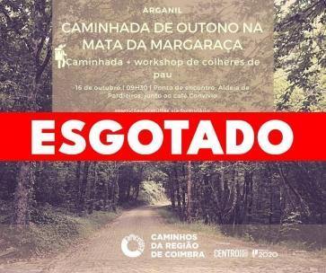 0e12260e c85f 4598 96a4 c90ea2fcaa2e