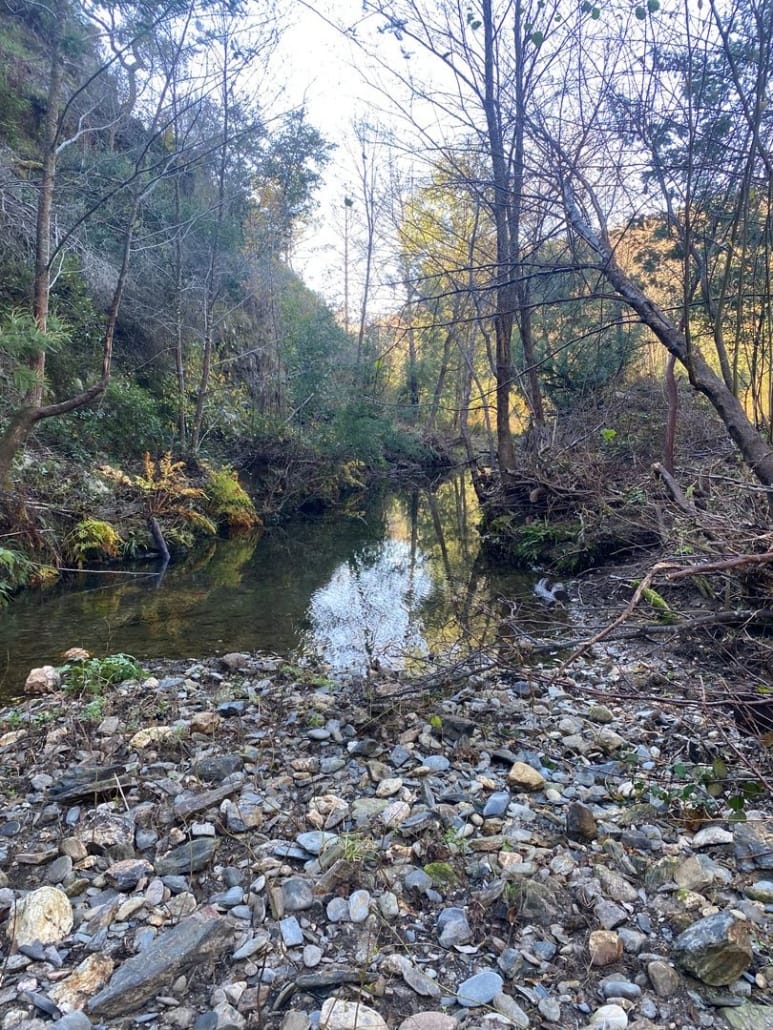 Vale Pardieiro (concelhos de Arganil e Pampilhosa da Serra)