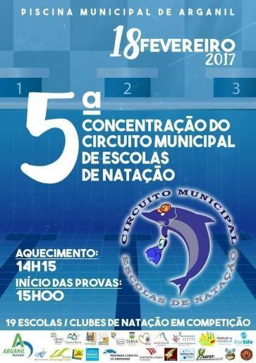 5-concentracao-municipal