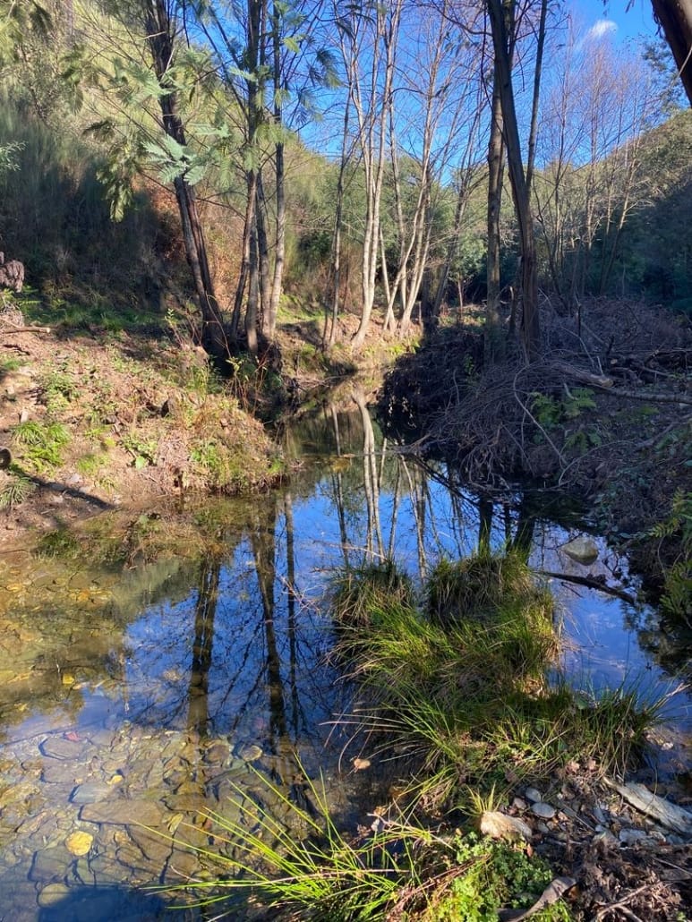 Vale Pardieiro (concelhos de Arganil e Pampilhosa da Serra)