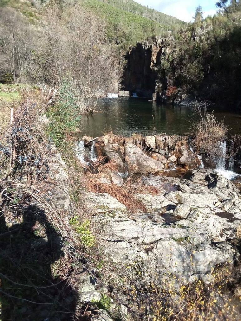 Poço da Cesta, Casal Novo - UF Cepos e Teixeira