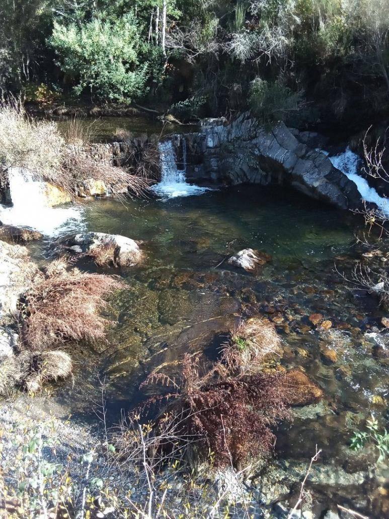 Poço da Cesta, Casal Novo - UF Cepos e Teixeira