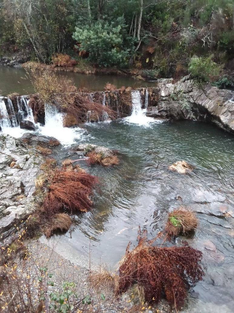 Poço da Cesta, Casal Novo - UF Cepos e Teixeira