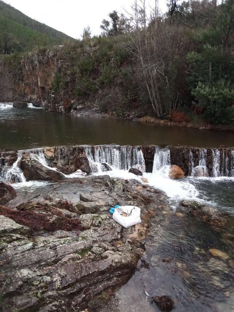Poço da Cesta, Casal Novo - UF Cepos e Teixeira