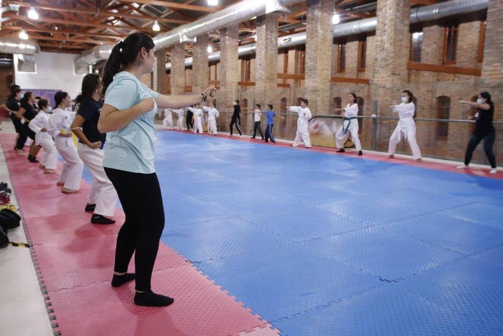 Taekwondo - E.Motion