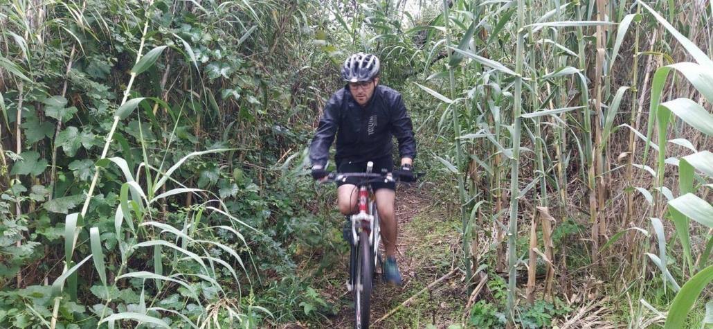 Passeio de bicicletas