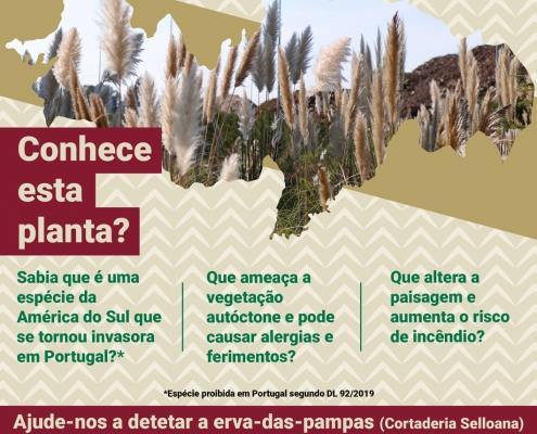 Cartaz Stopcortaderia@arganil