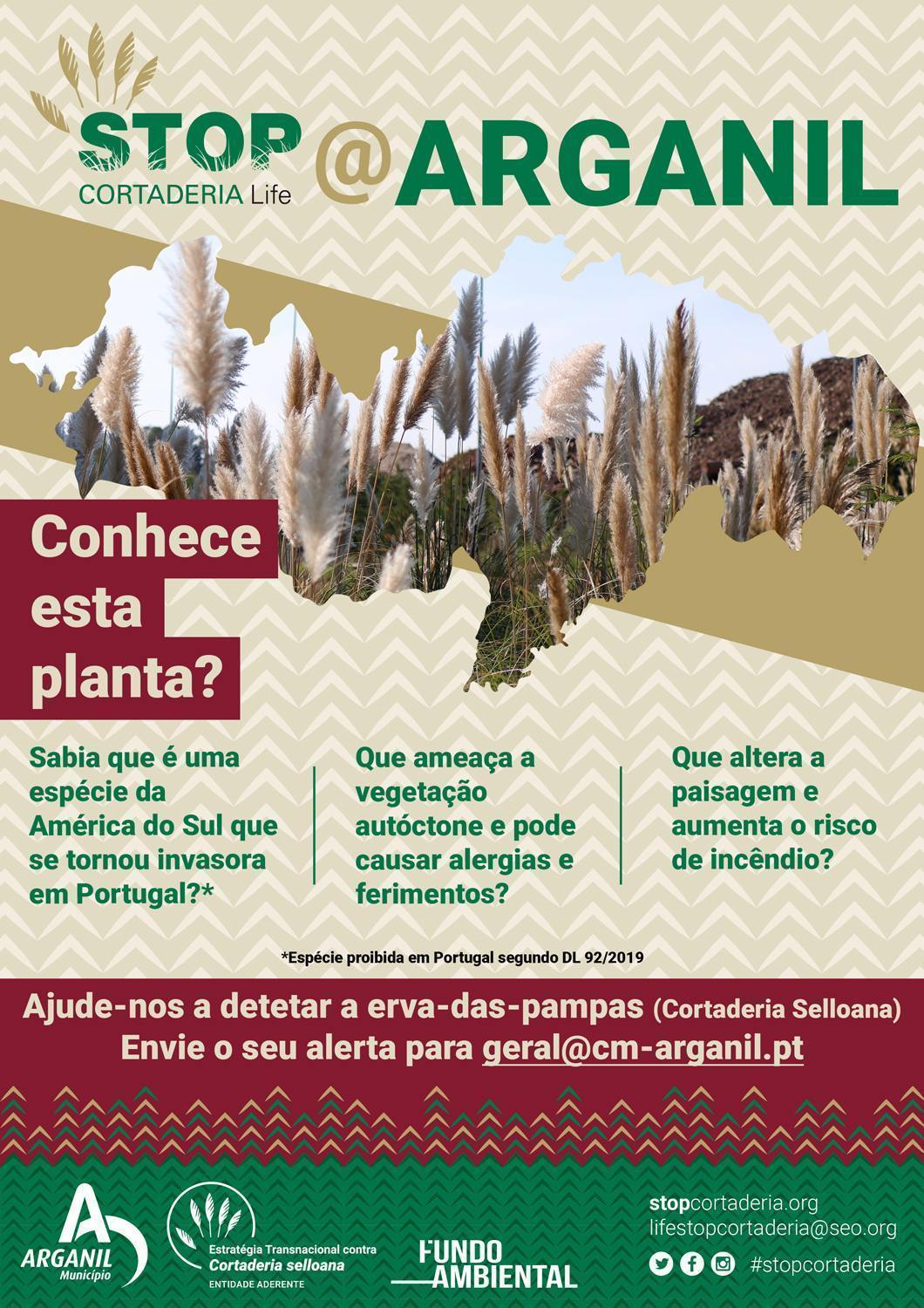 Cartaz Stopcortaderia@arganil