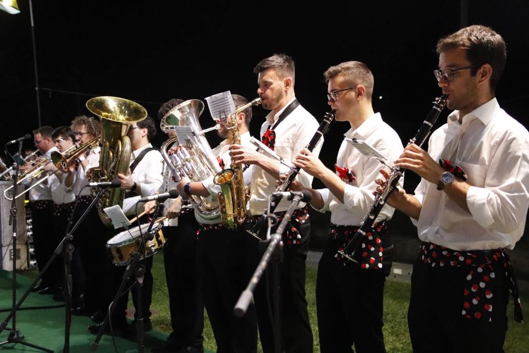 Cavalinho Freguesia Do Campo Viseu