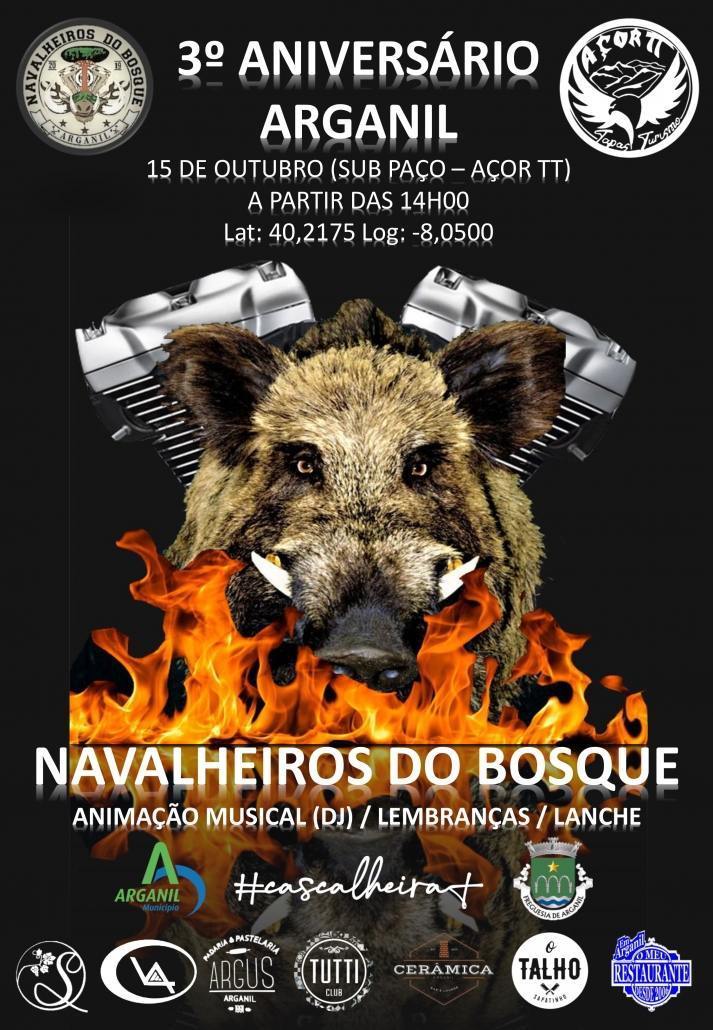 Cartaz 3 AniversÁrio Gmnb