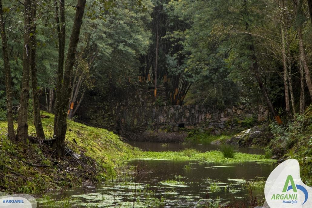 Projeto Gestão Da Bacia Do Rio Ceira (17)