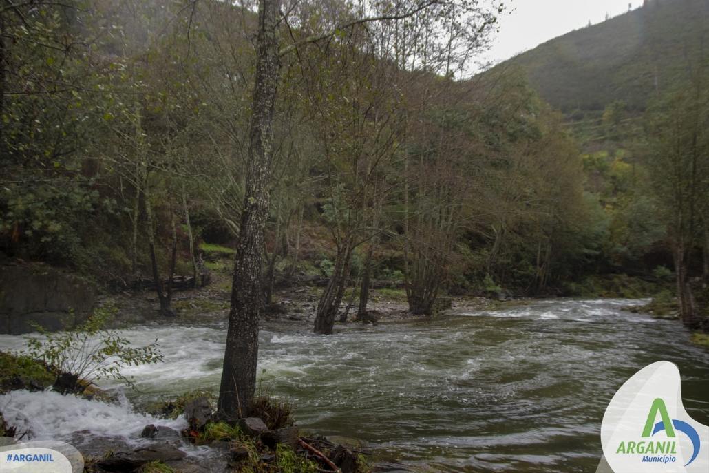 Projeto Gestão Da Bacia Do Rio Ceira (23)