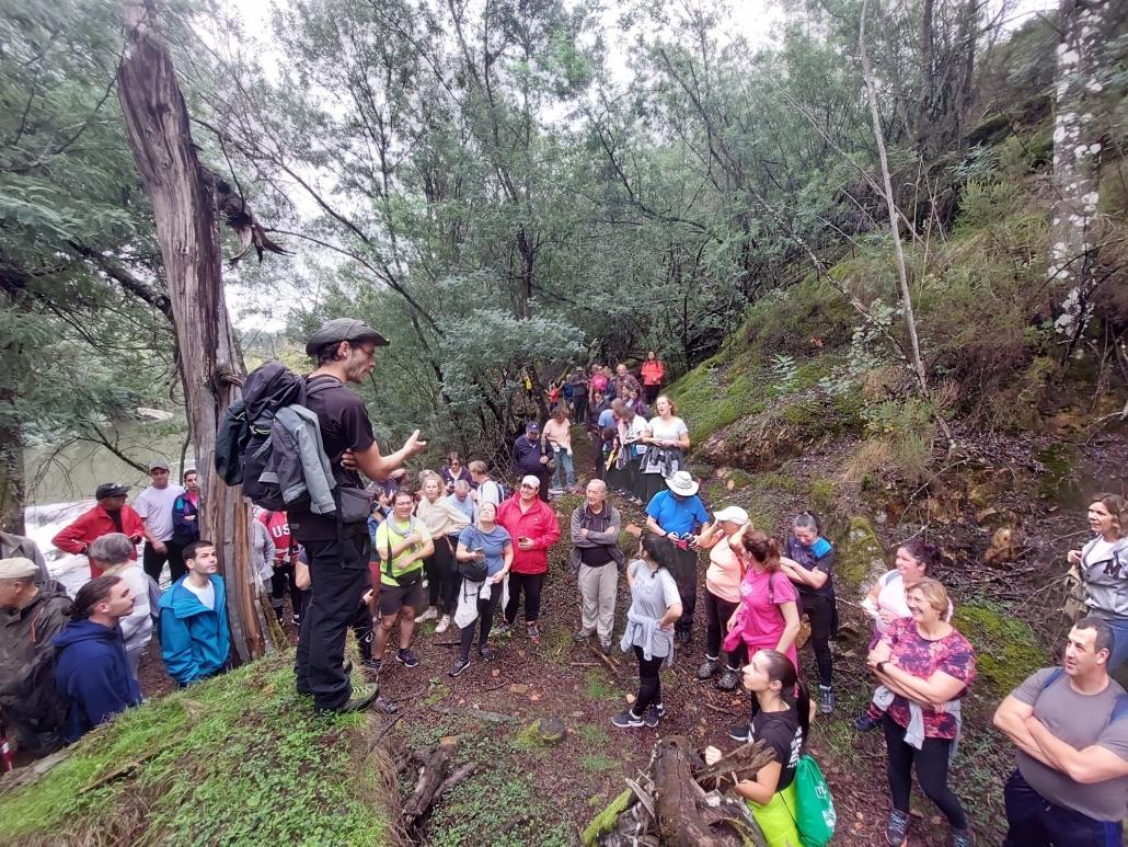 Vistarganil A Caminhar (5)