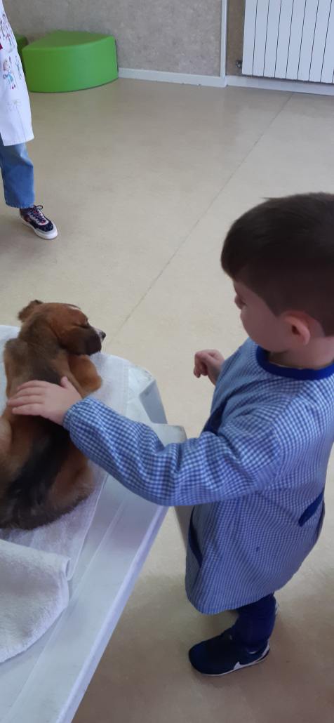 Ação de sensibilização sobre bem-estar animal nas escolas