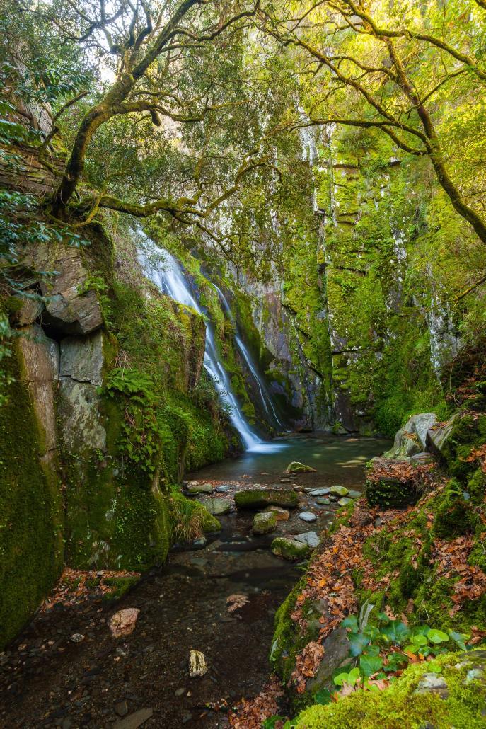 Fraga Da Pena