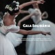 Gala Solidaria Emotion (1)