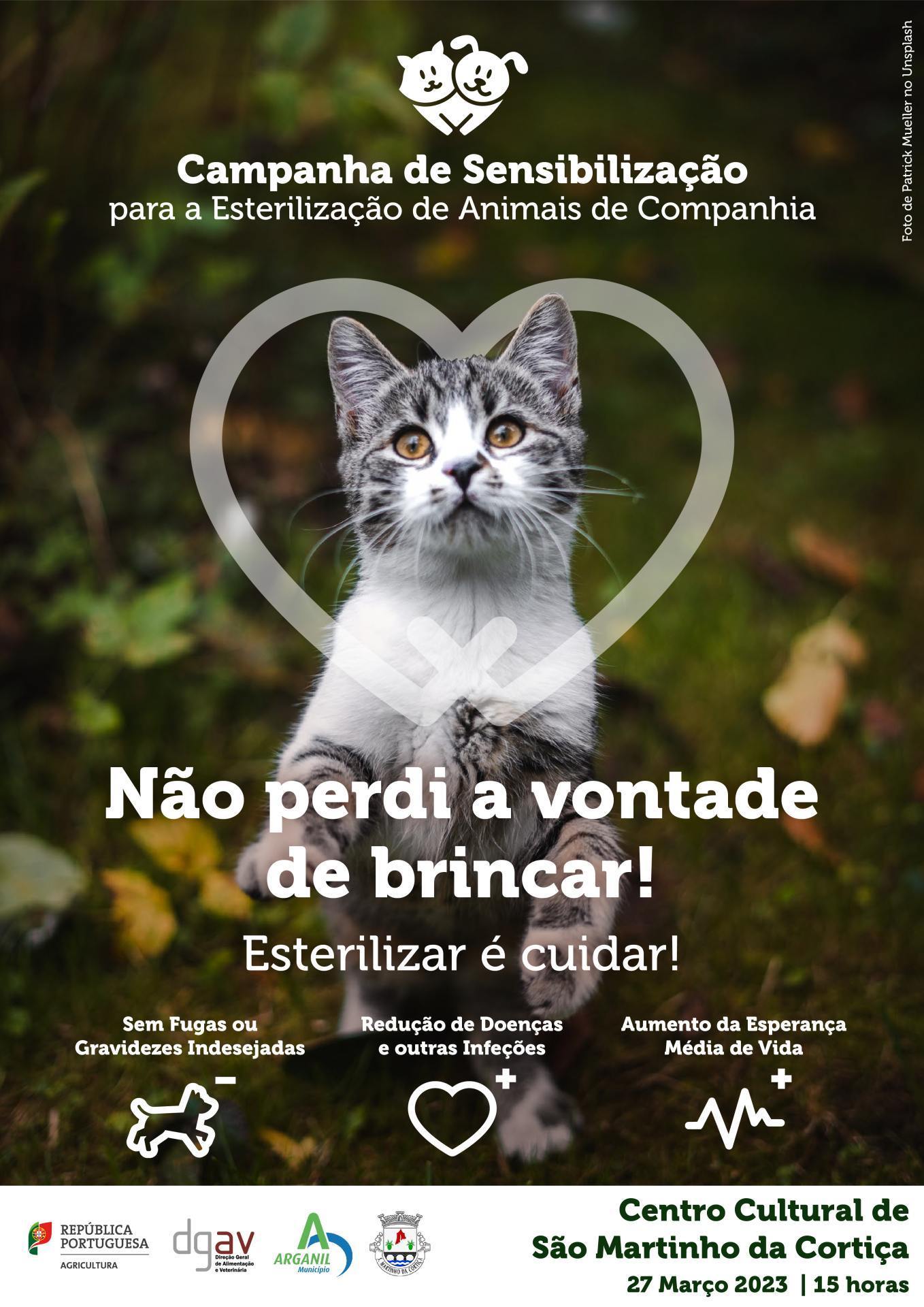 Sensibilização Esterilização Dos Animais De Companhia Smc 2023