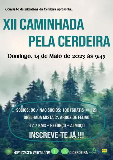 Cartaza4 Cartaza4