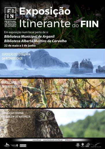 Cartaz Fiin 2023 Cartaz Fiin 2023
