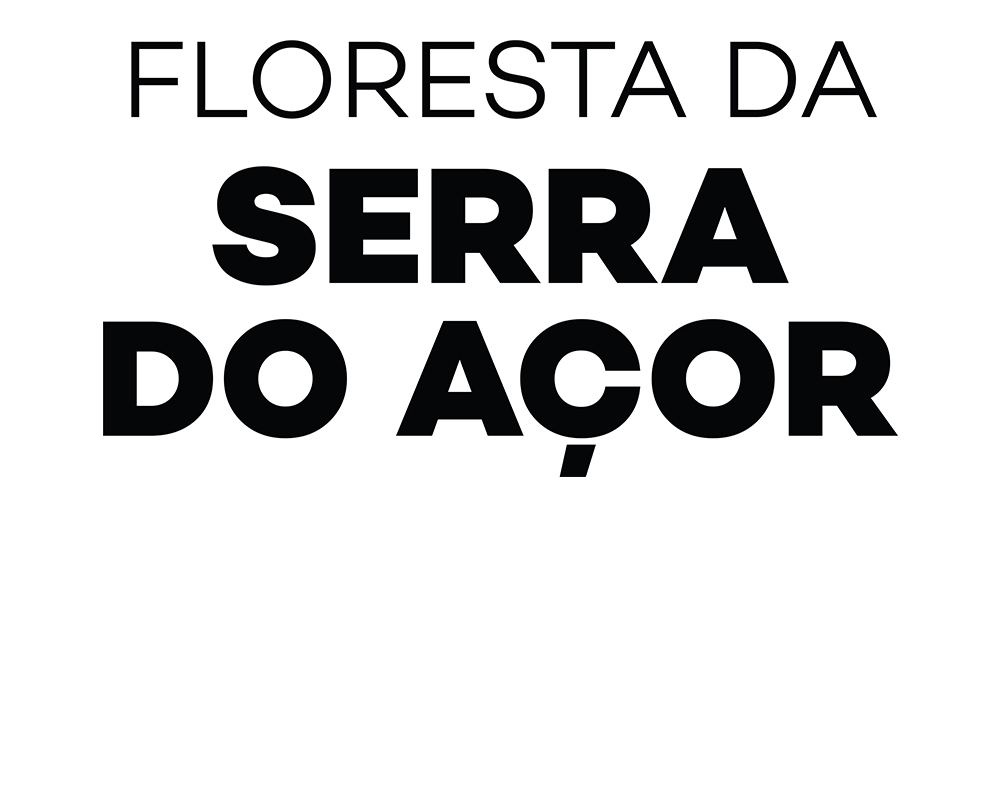 Floresta Serra Do Açor