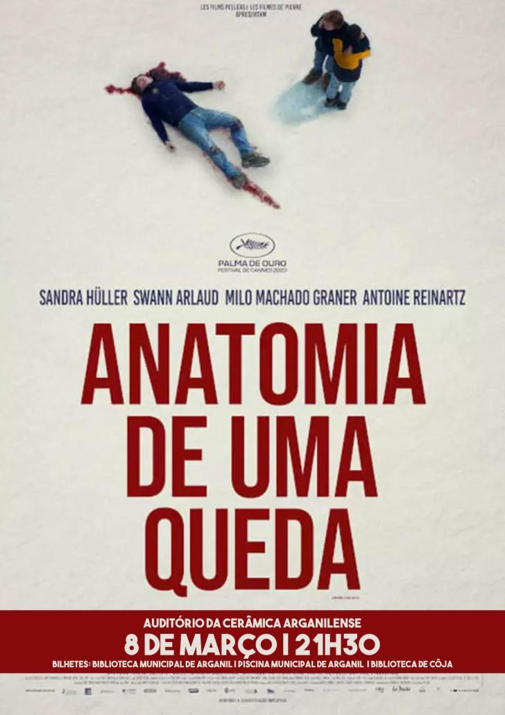 Anatomia De Uma Queda