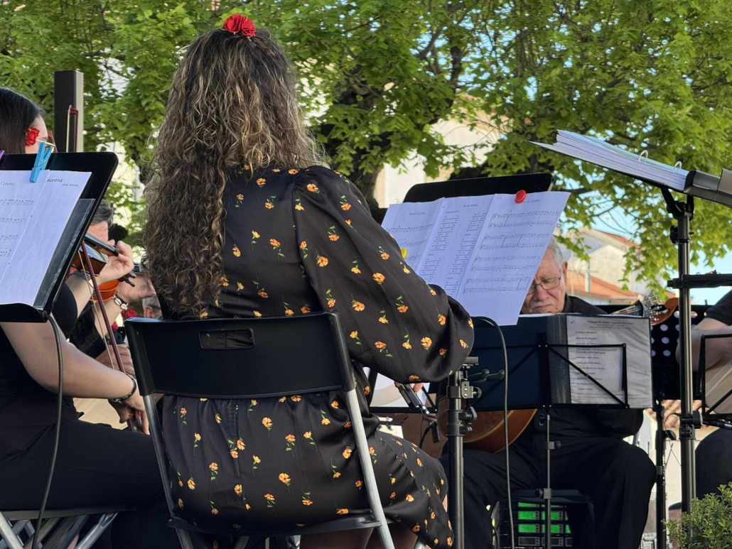 Real Companhoa E Orquestra Passo Por Compasso (29)