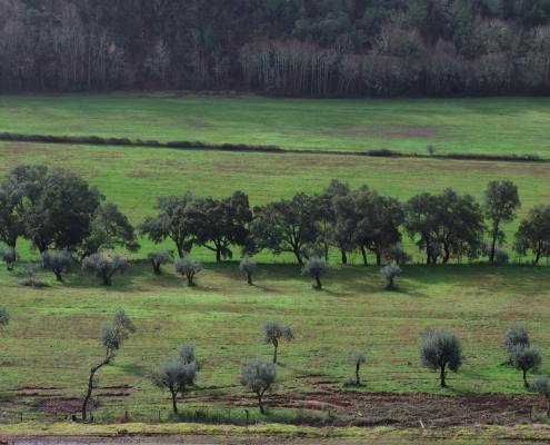 Quinta Do Mosteiro