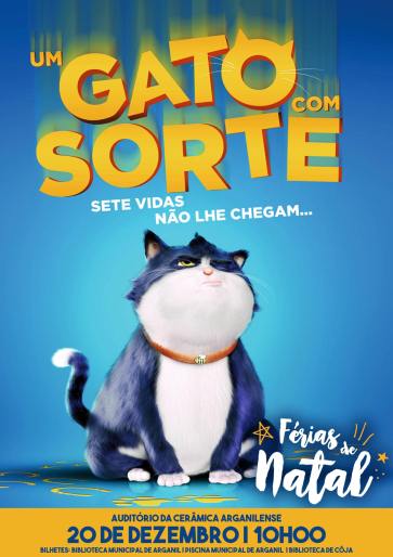 Um Gato Com Sorte Um Gato Com Sorte