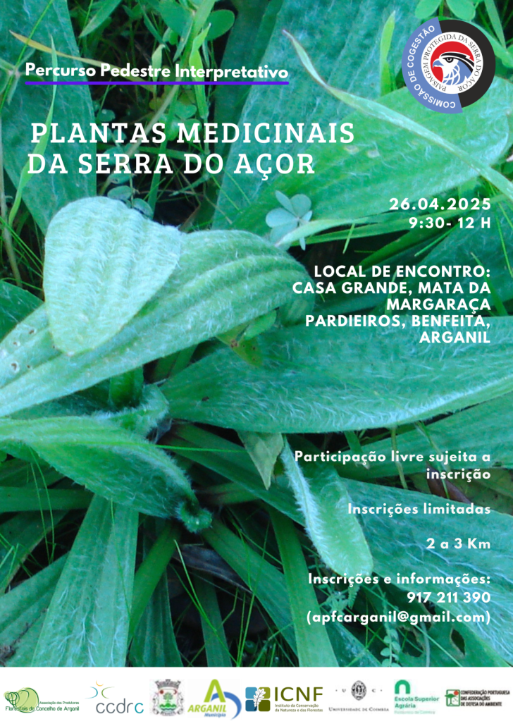 Cartaz Medicinais 26.04.2025
