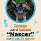 Nascer 2