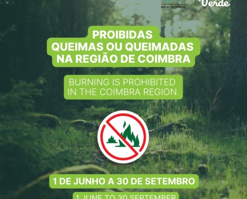 Queimas E Queimadas 2025