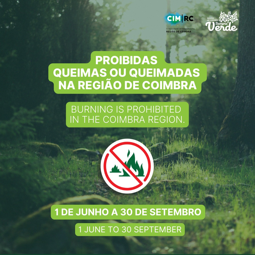 Queimas E Queimadas 2025