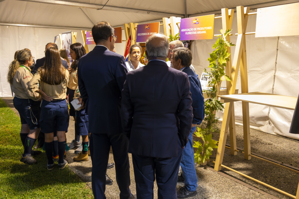 Dia 4 42 Ficabeira97