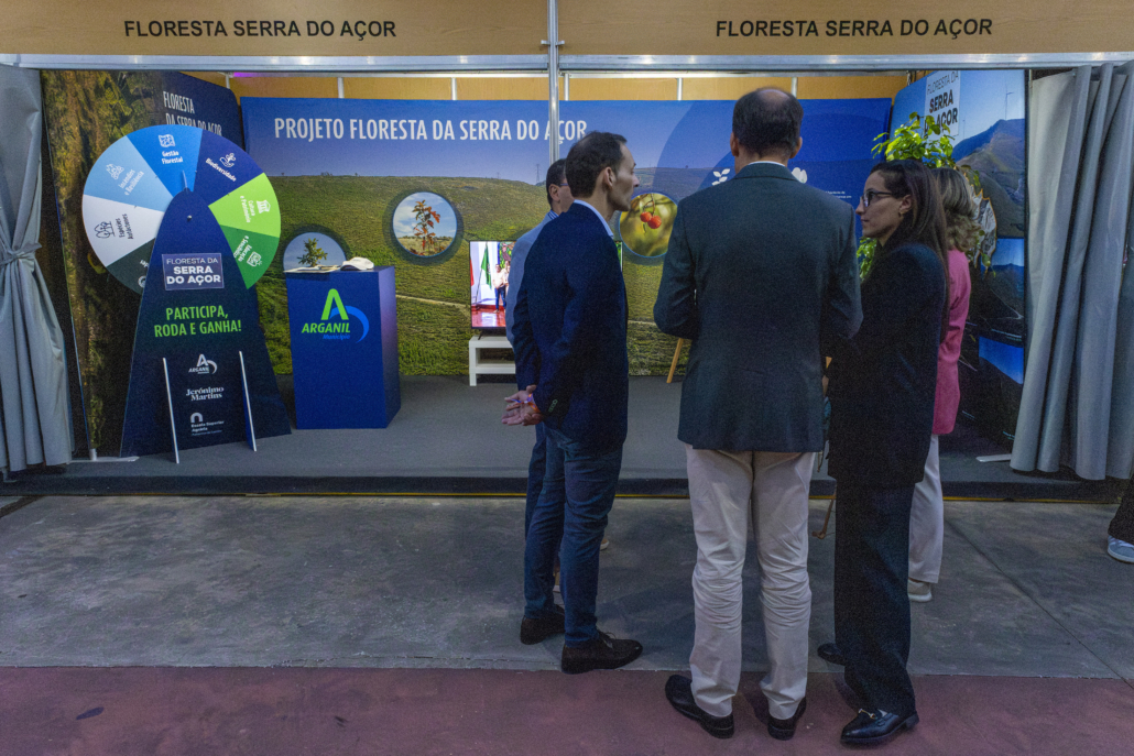 Dia 5 42 Ficabeira51