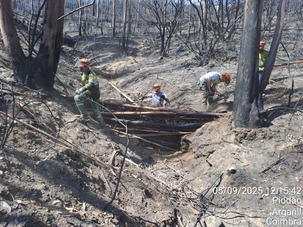 Trabalhos De Estabilização