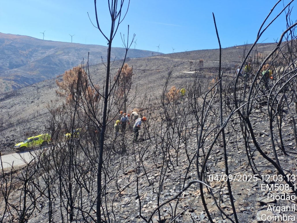 Estabilizção De Emergência