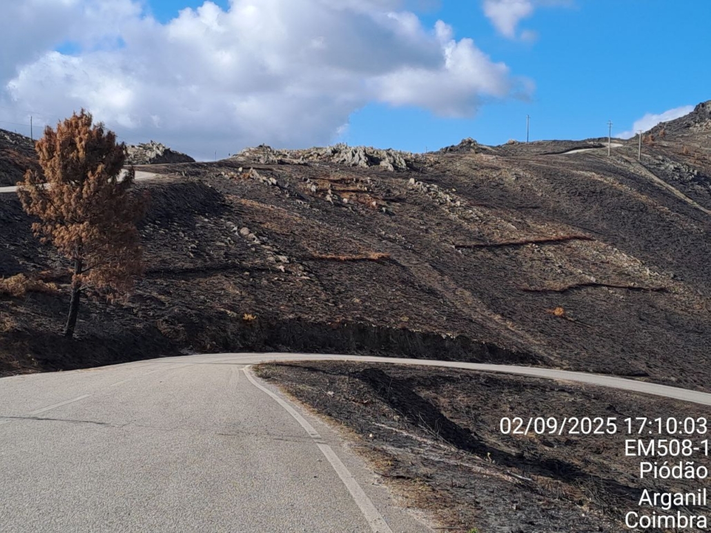 Photo 2025 09 02 20 15 00 (2)