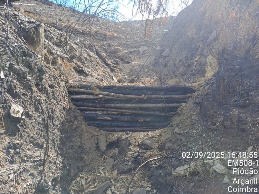 Photo 2025 09 02 20 15 01