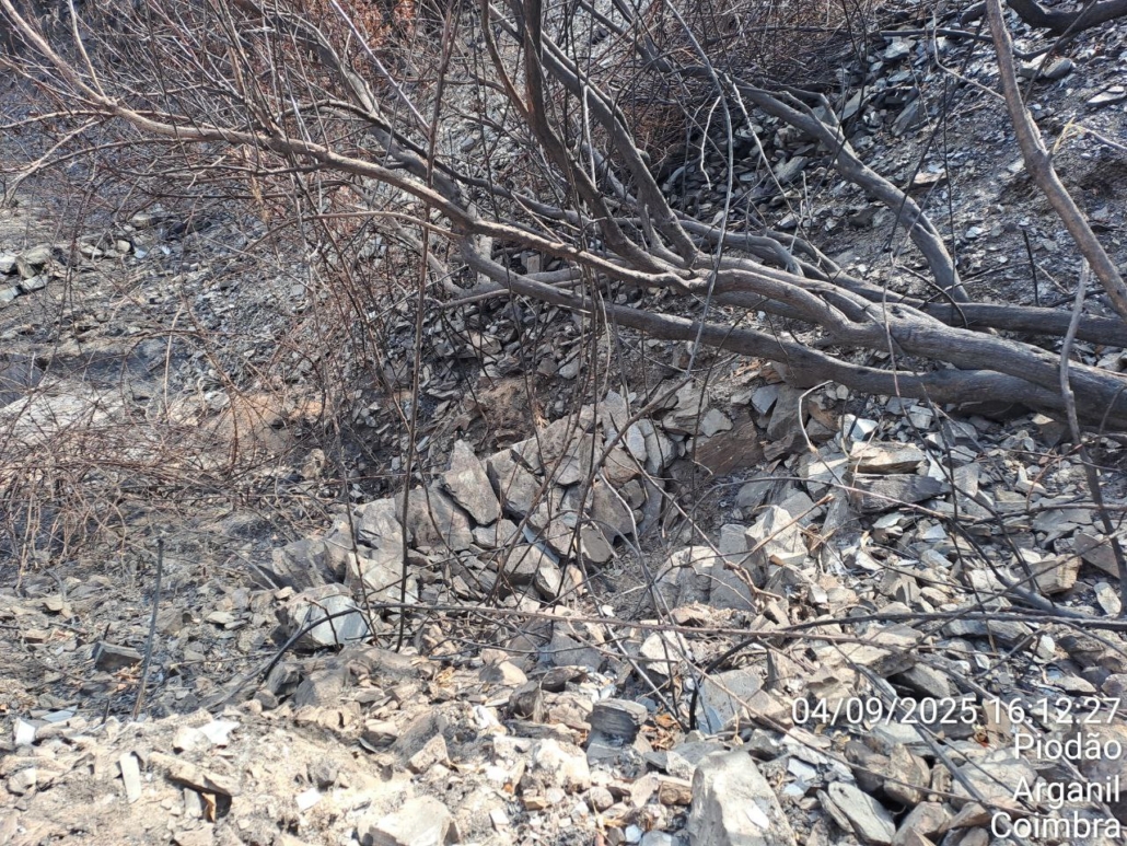 Photo 2025 09 04 19 04 23